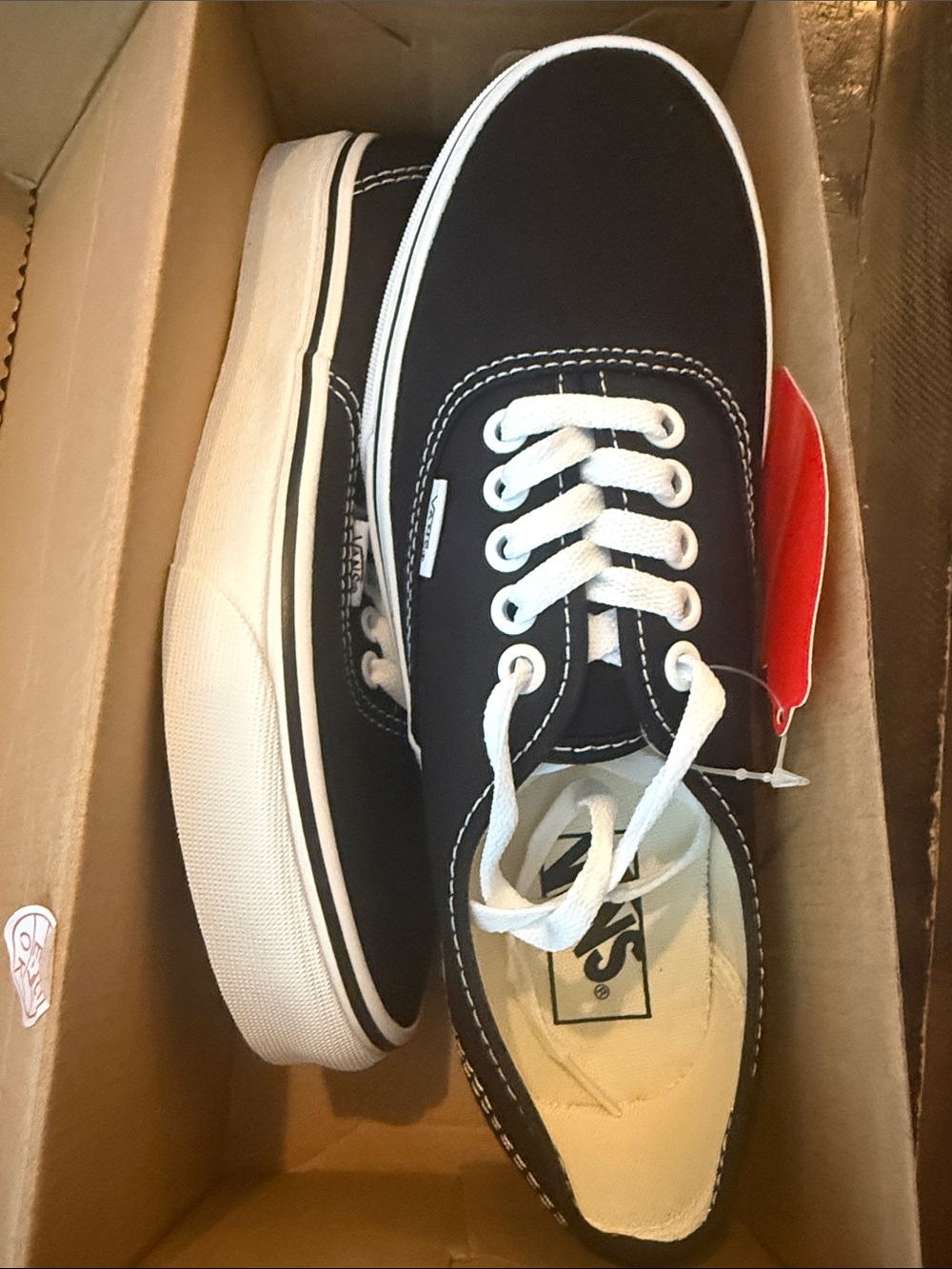 Vans Men’s Black Canvas Low-Top Sneakers with White Accents